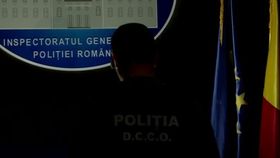 VIDEO Operațiune ca-n filme. Au fost găsite substanțe interzise în fructe